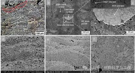 中南大學頂刊ESI高被引論文:WC-Co硬質合金增材制造工藝、顯微組織及力學性能